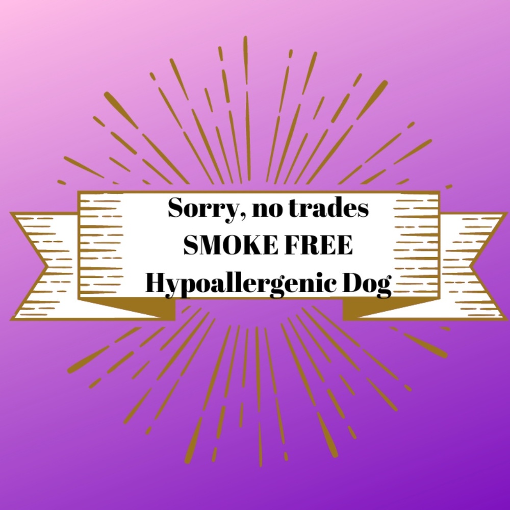 Reasonable offers accepted!